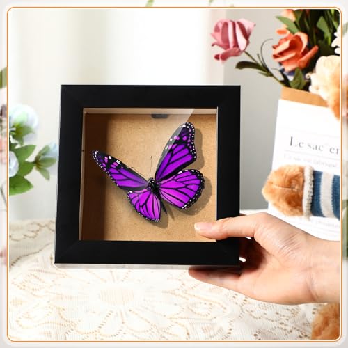 6 Pieces Shadow Box 5x5 and 5x7 Inch Wood Display Case for Photos, Crafts, Black I963