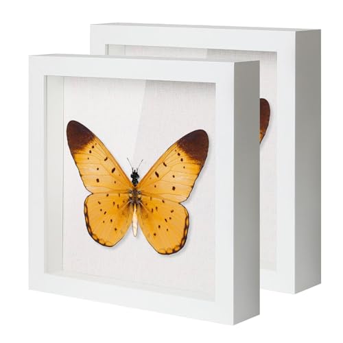 10"x10" Shadow Boxes Display Cases with Soft Linen Back Deep Wood Glass 3D Shadow Box Set for Wall and Tabletop Baby Sports, 2 Pack Black