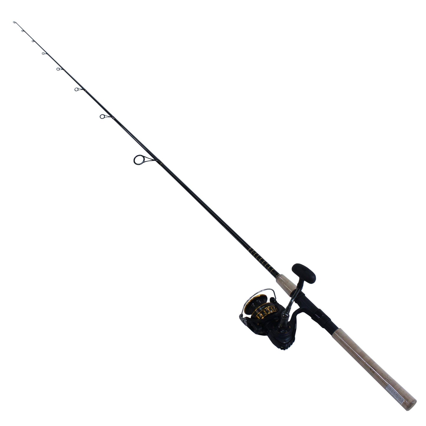 Daiwa BG Saltwater Spinning Combo
